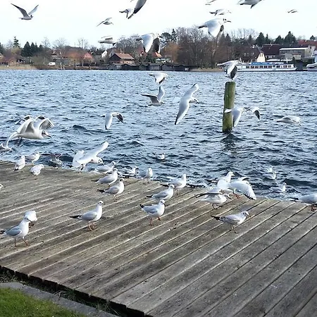 Apartment Fewo Direkt Am See - *